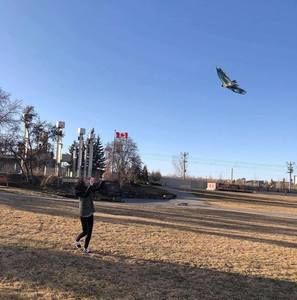 Meet your Posher, Jamie